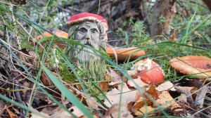 Сказка о том, как Гномы превратились в Мухоморы