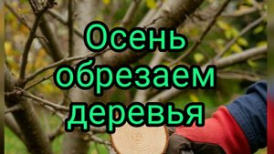 Обрезка деревьев.