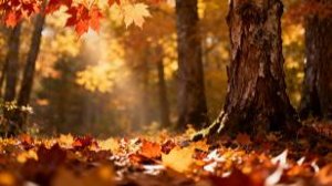 ОСЕНЬ. Музыка для работы и отдыха.