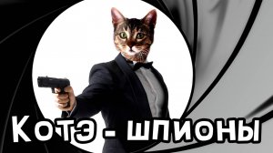 Коты-агенты: секретная жизнь пушистых шпионов