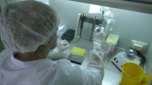 В Воронежской области значительно сократилось количество случаев бешенства