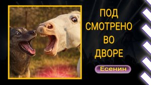 Конь и пёс / Необычная дружба животных / Музыка на стихи Есенина