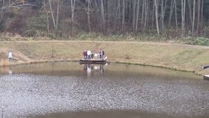 Forest Fishing 25.10.25