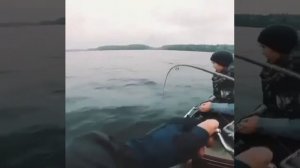 Видео от За Трофеем: Охота и Рыбалка