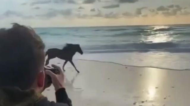 Красивая Азербайджанская песня, at gara смотреть онлайн