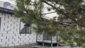 Дом вашей мечты рядом с городом!