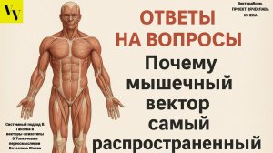 Почему мышечный вектор самый распространенный