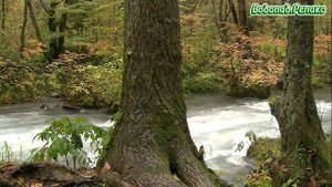 Водопад.Релакс.