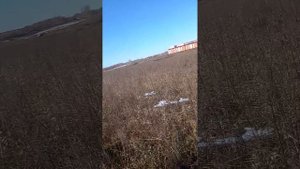 первая часть ищем племя каннибалов
