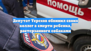 Депутат Терехов обвинил своих коллег в смерти ребенка, растерзанного собаками