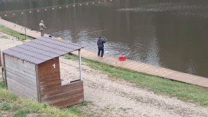 Forest Fishing 25.10.25