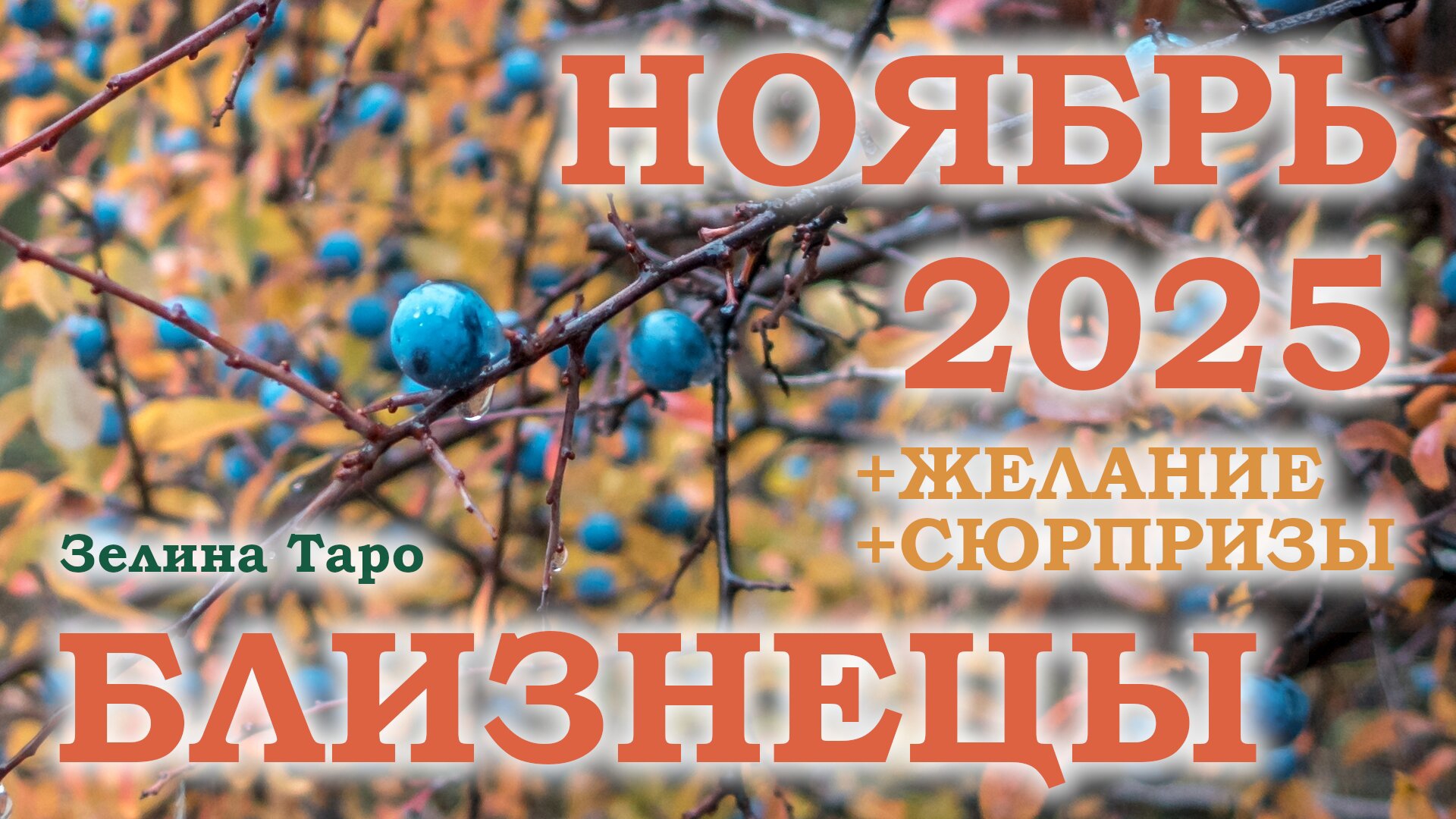 БЛИЗНЕЦЫ | ТАРО прогноз на НОЯБРЬ 2025 года | Желание | Сюрпризы | Расклад таро