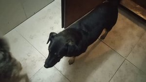 Каждое утро начинается одинаково.