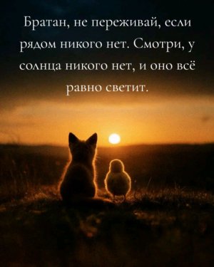 спасибо за донат
2202 2055 7382 0153 сб