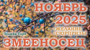 ЗМЕЕНОСЕЦ | ТАРО прогноз на НОЯБРЬ 2025 года | Желание | Сюрпризы | Расклад таро
