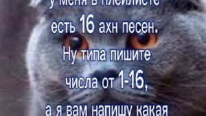 ну вы пон, да?..