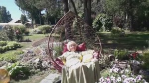 Лето на даче.  13 июня 2025