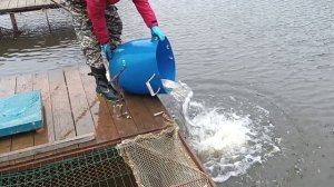 Forest Fishing 25.10.25