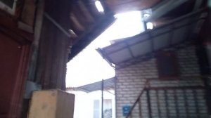 Данилевский. Астрахань.