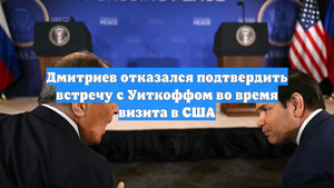 Дмитриев отказался подтвердить встречу с Уиткоффом во время визита в США