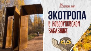 ЭКОТРОПА В НОВООРЛОВСКОМ ЗАКАЗНИКЕ В ПЕТЕРБУРГЕ!