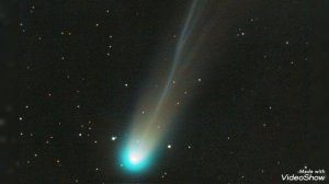 Арктика Антарктика.mp4