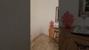 1000343804.mp4