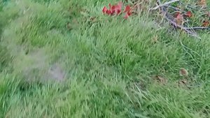 1000000128.mp4