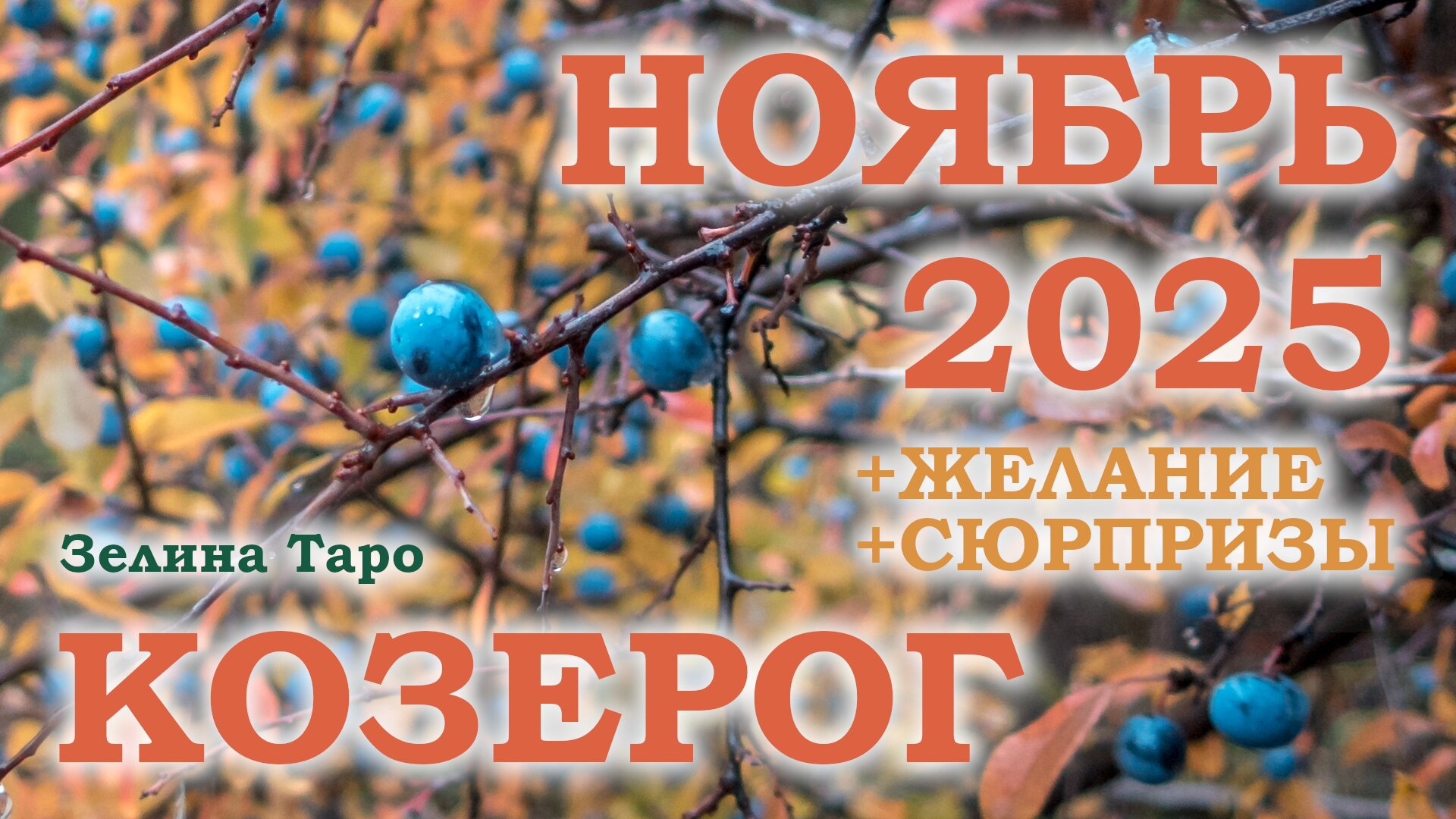 КОЗЕРОГ | ТАРО прогноз на НОЯБРЬ 2025 года | Желание | Сюрпризы | Расклад таро