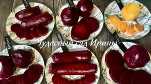 Чудесный сад Ирины. Самые вкусные сорта свёклы