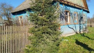 АРЗОН УЙ 150.000 руб 1.700$ Ери 48 соток Шахарга 15км