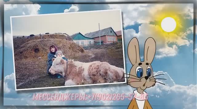 Видеоклип поздравить с днем рождения племянника от тёти из фото смотреть онлайн