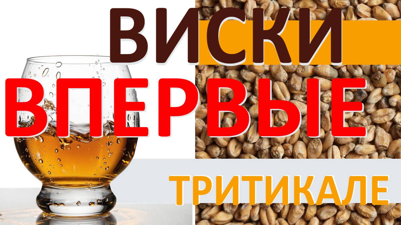 Тритикалевый виски, Тритикале.