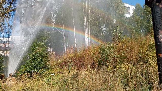 трубу провроло