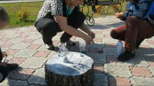 Настольная игра "Тридевятое царство"