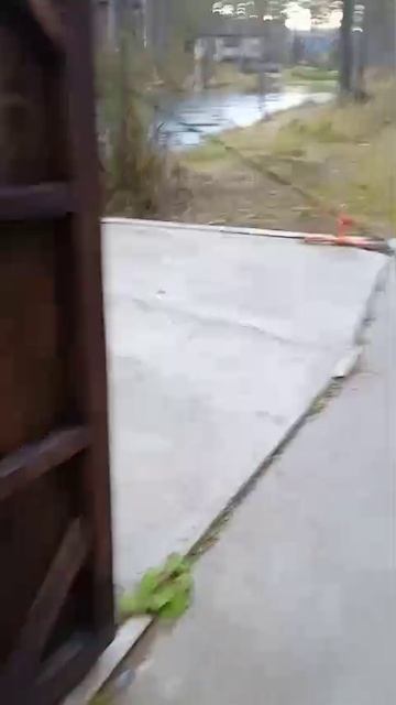 1000083329.mp4 смотреть онлайн