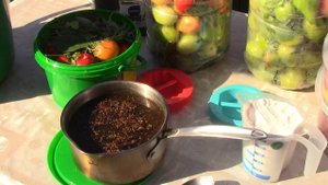 Волгоград 2025 г. Октябрь. Солим томаты(помидоры)