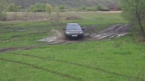 Фрилендер резвится