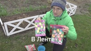 6 соток 22 октября 2025 года. 1 часть. тюльпаны
