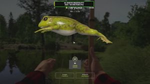 РР4 Комариное. Лягушка.