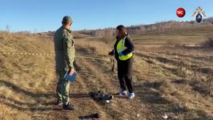 В Сибири собаки насмерть загрызли 10-летнего мальчика  / События на ТВЦ