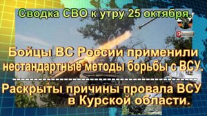 Сводка СВО к утру 25 октября. «Дезинфекция» позиций ВСУ, атаки на Москву
