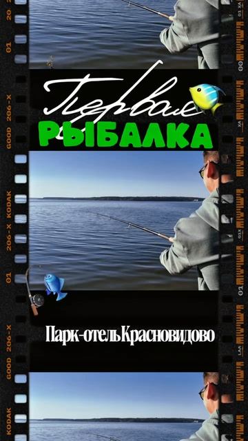 Где рыба клюет в Подмосковье? Смотрите обзор на рыбалку в Красновидово