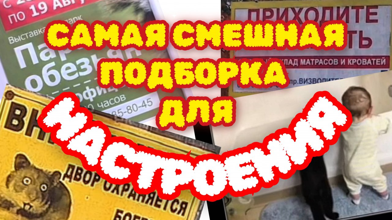 СМЕХ ДО СЛЁЗ! ПРИКОЛЫ! САМАЯ СМЕШНАЯ ПОДБОРКА для НАСТРОЕНИЯ!
