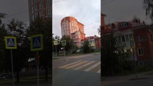 1000008742.mp4    "  если бы ...