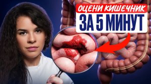 Как оценить состояние кишечника за 10 минут БЕЗ врача