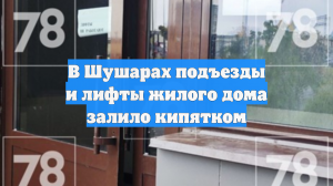 В Шушарах подъезды и лифты жилого дома залило кипятком