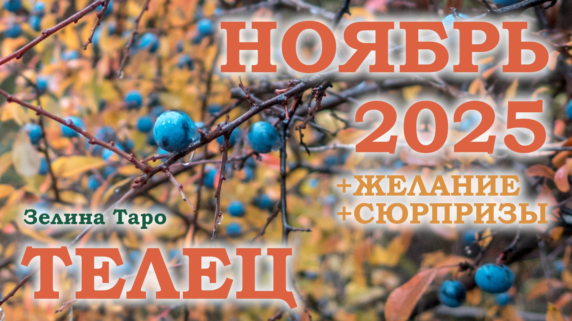 ТЕЛЕЦ | ТАРО прогноз на НОЯБРЬ 2025 года | Желание | Сюрпризы | Расклад таро