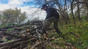 Дом в деревне! Пилю бесплатные дрова!