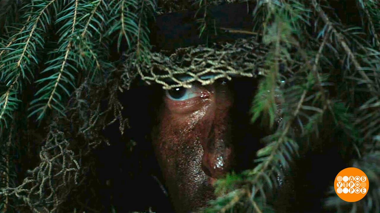 "Август". Есть вопросы? Есть ответы! В "Одноклассниках". Доброе утро. Суббота. Фрагмент выпуска о...